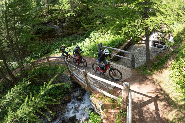 Family of three mountain biking in the forest