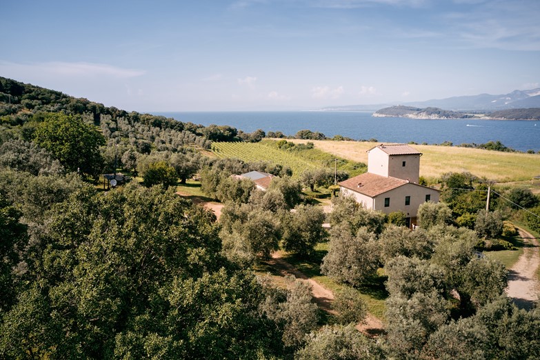 Drone view of a typical agriturismo and surrounding vineyards in Baratti, Piombino, located between the foot of the hill an the breach
