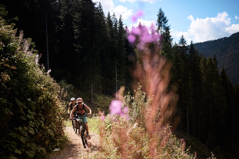 Riding through the lush trails in the Grisons Alps