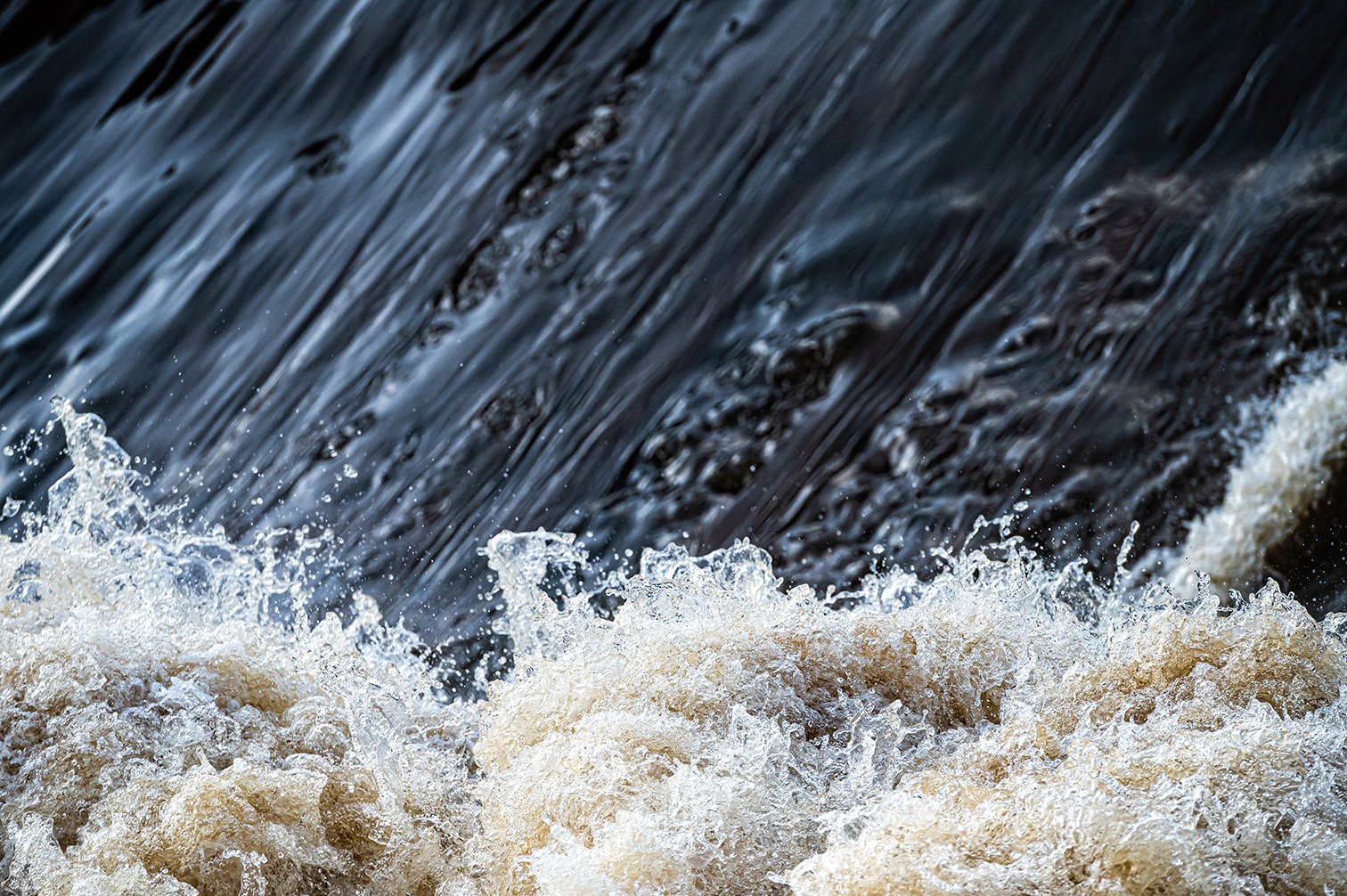 image of the brewing process
