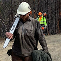 Wildland firefighter carrying a chainsaw after working in a burned forest area.