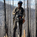 Firefighter holding a chainsaw among burned trees in a wildfire recovery zone.