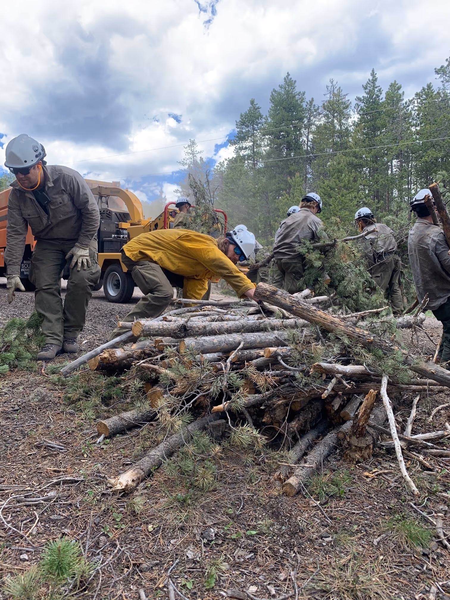 Crew members wearing helmets and gloves stacking cut logs for wildfire mitigation.