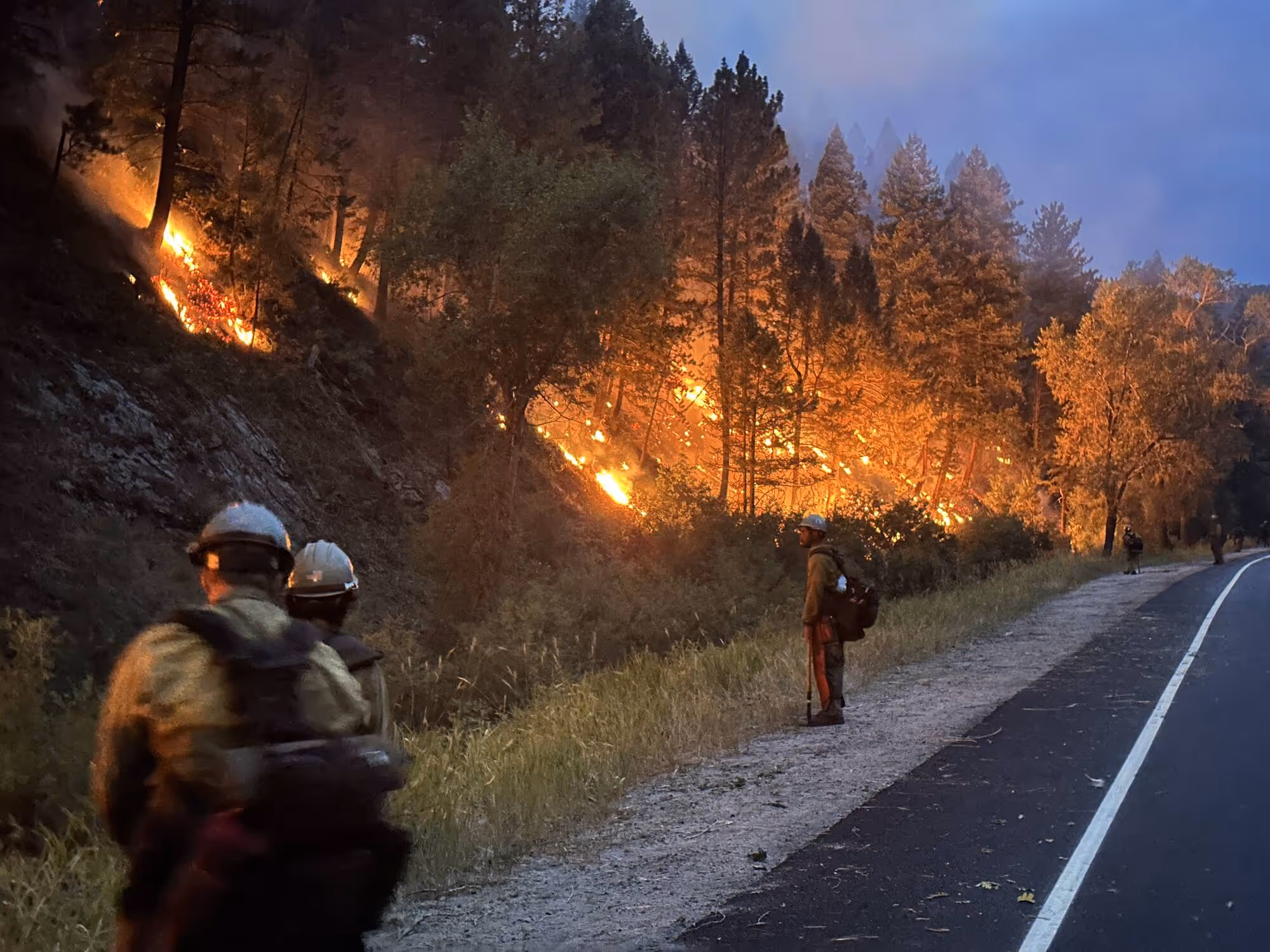 Wildland firefighters monitoring a forest fire burning along a hillside near a road.