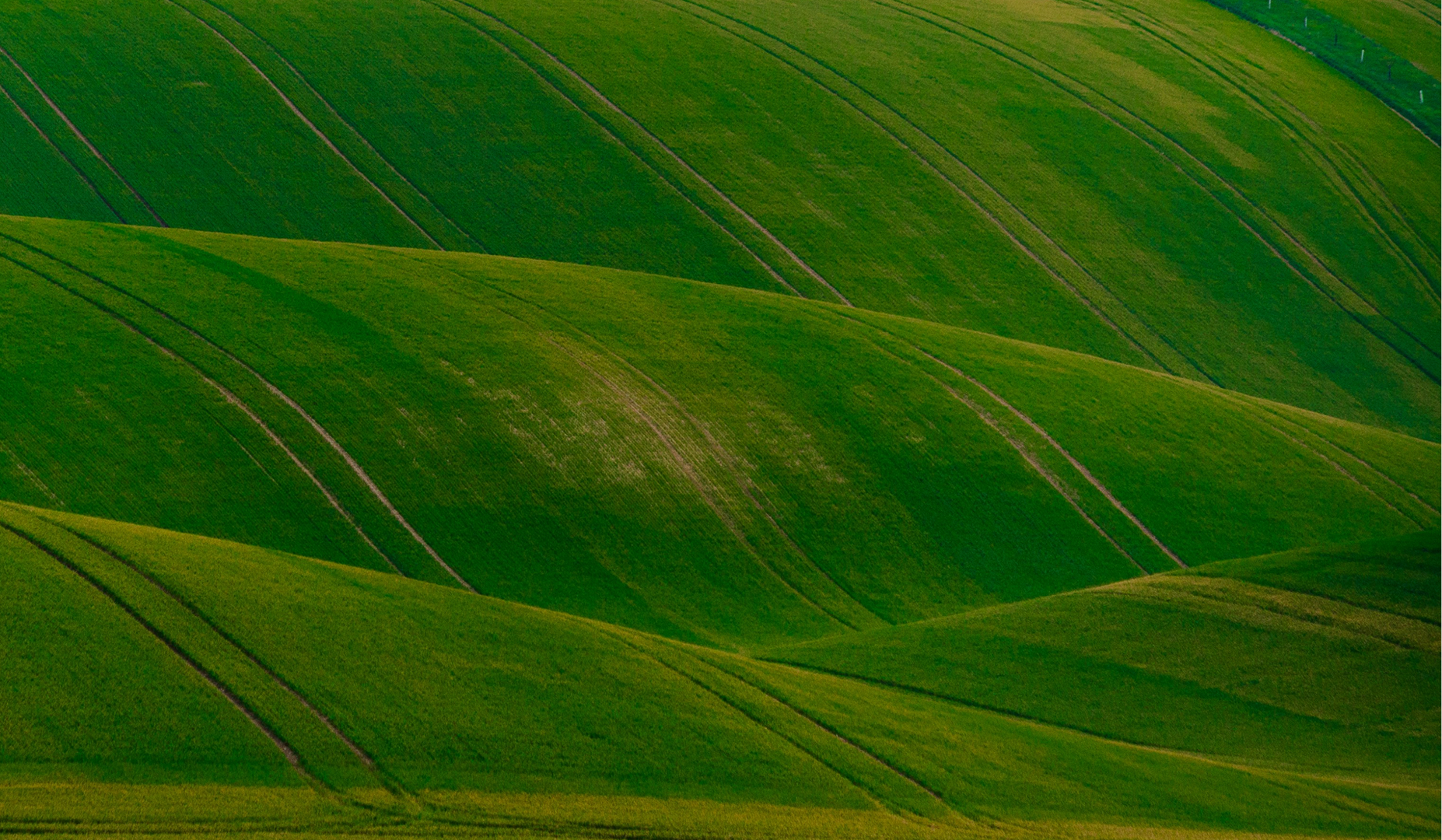 ts-sergey-TPVQSF3IXp8-unsplash 2