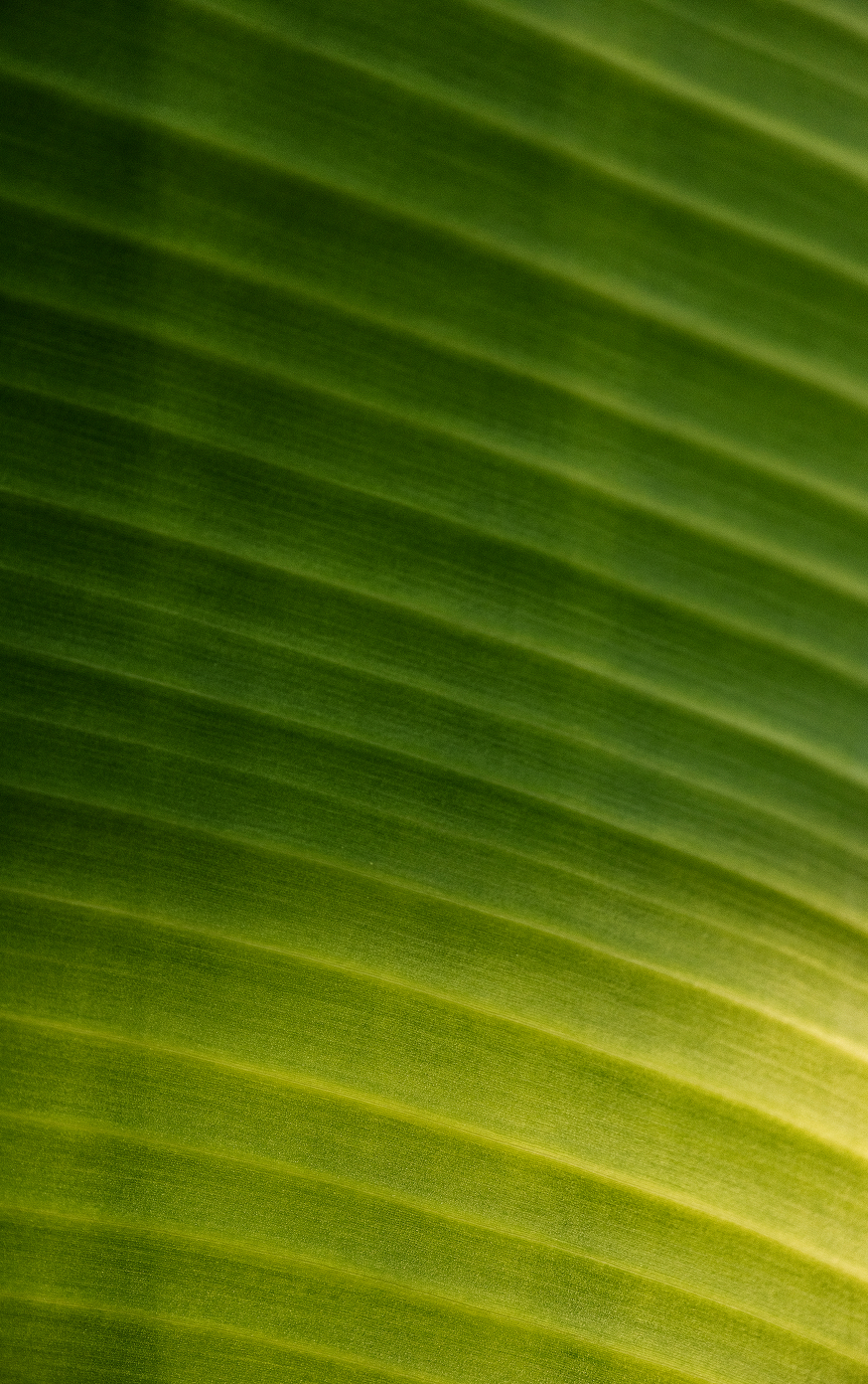 Frame 1171277098