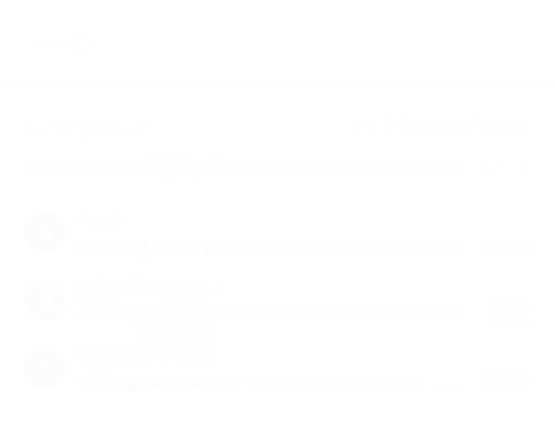 budgetcard
