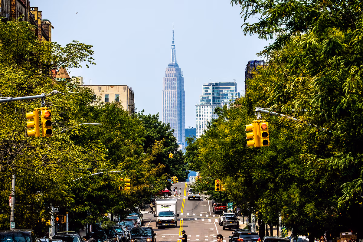 Urban street lined with green trees and cars, Empire State Building visible in the distance.