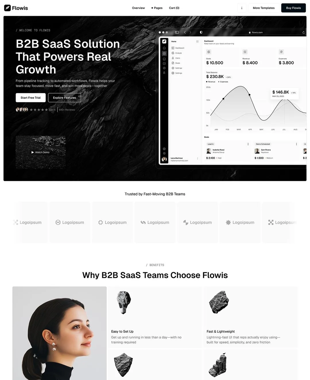 B2B SaaS platforms preview1