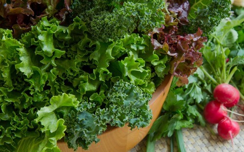 Leafy greens and radish's