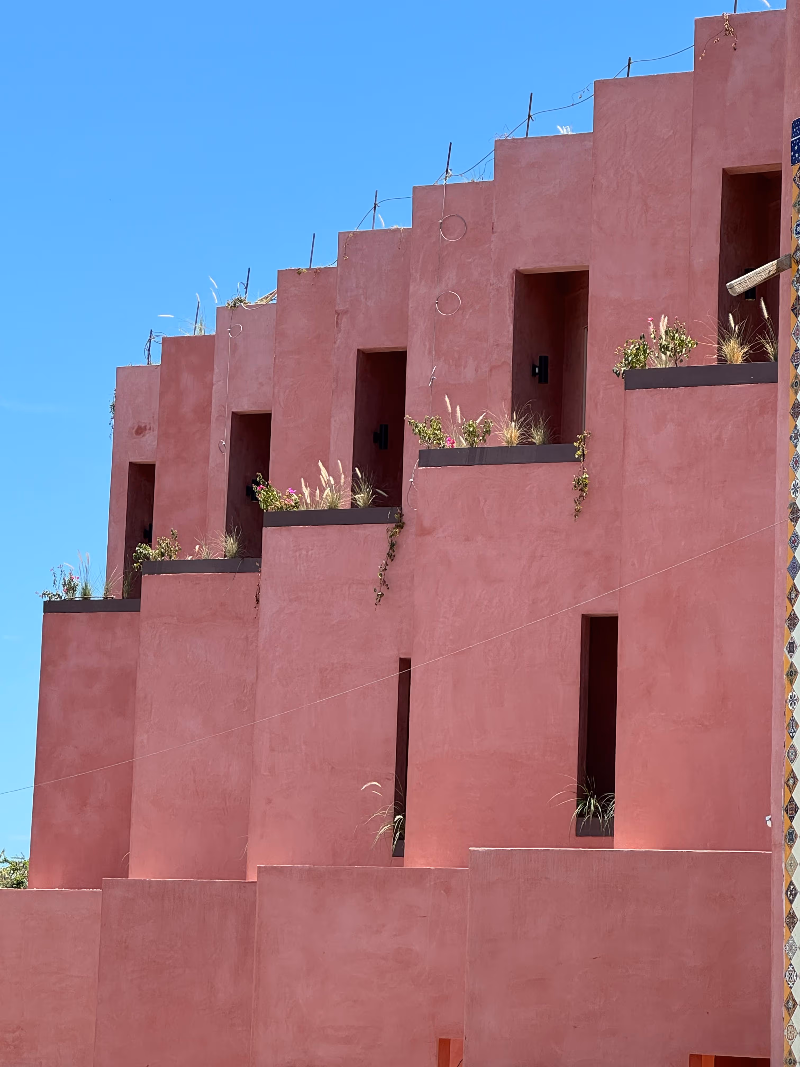 Pink stepped facade of a building with small plants in rectangular openings under a clear blue sky.