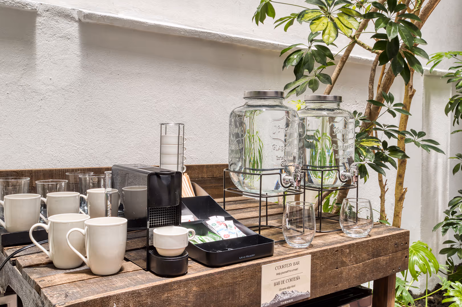 Wooden courtesy bar with glass water dispensers, a coffee machine, white mugs, glasses, and tea sachets, set against a white wall with green plants.