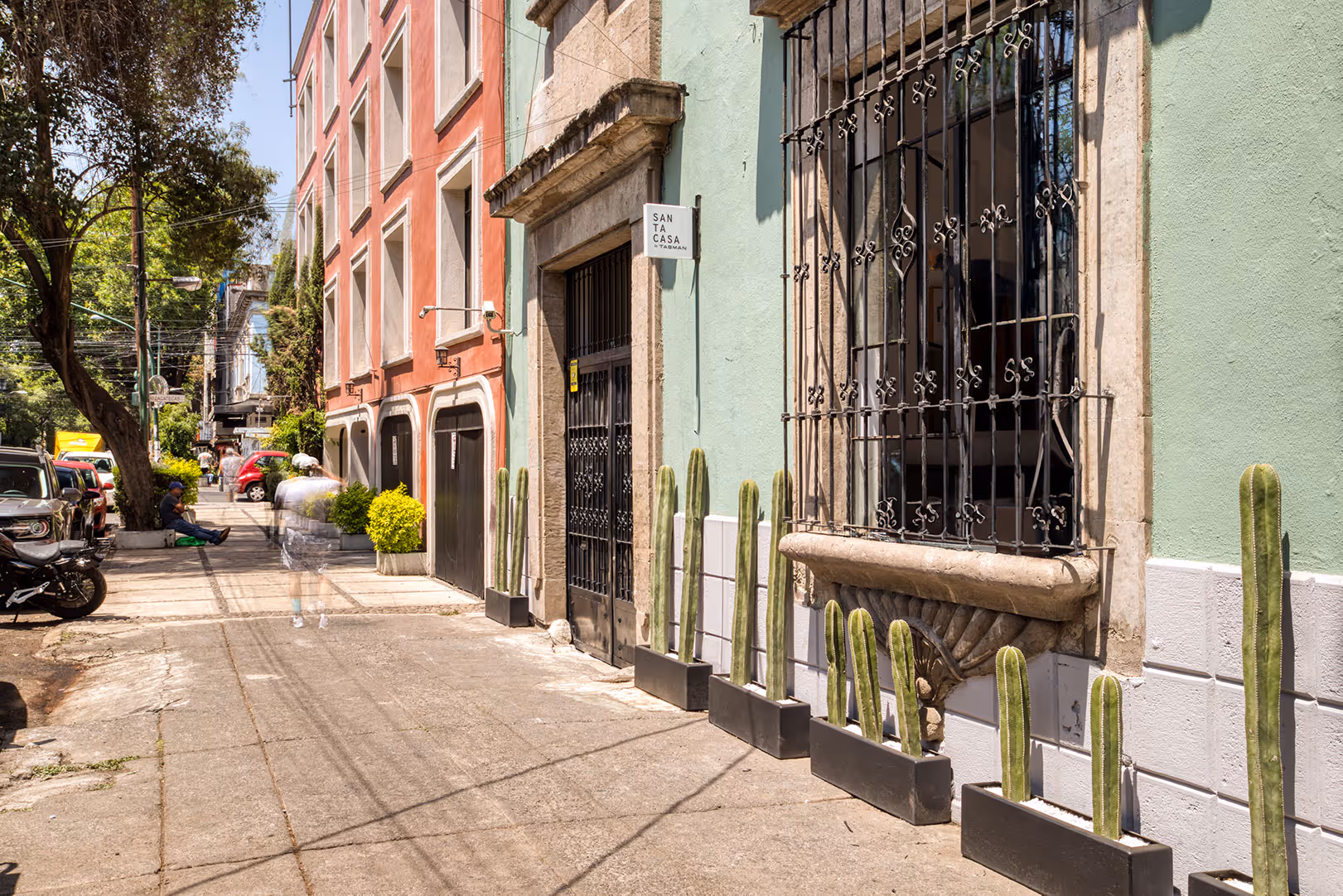 Urban sidewalk with tall cactus plants in black rectangular pots along a green building facade with barred windows and a black metal door.