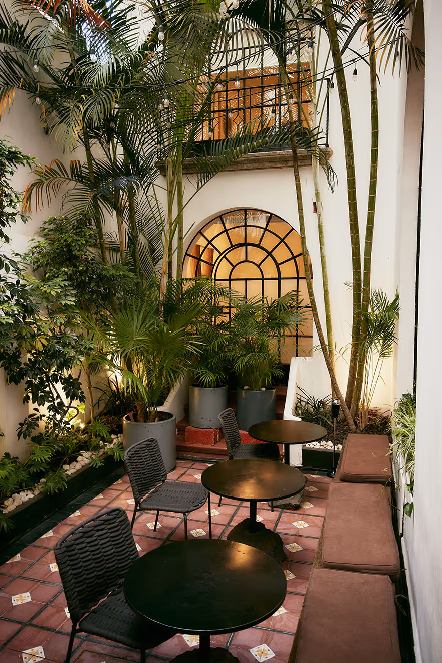 Cozy indoor patio with round black tables, woven chairs, cushioned bench seating, and lush potted plants under decorative hanging lights.