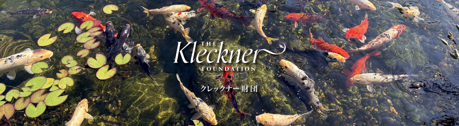 Top header image - Koi pond