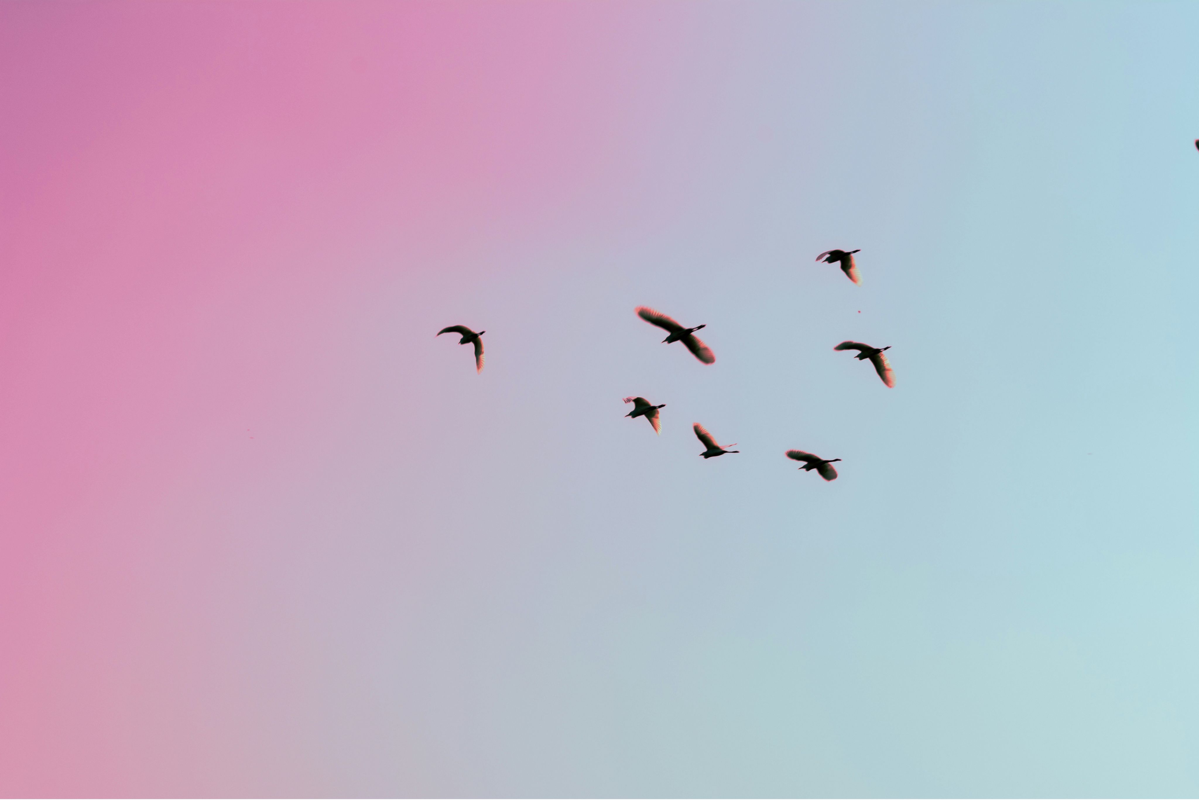 Juniper's 6T Investment Framework