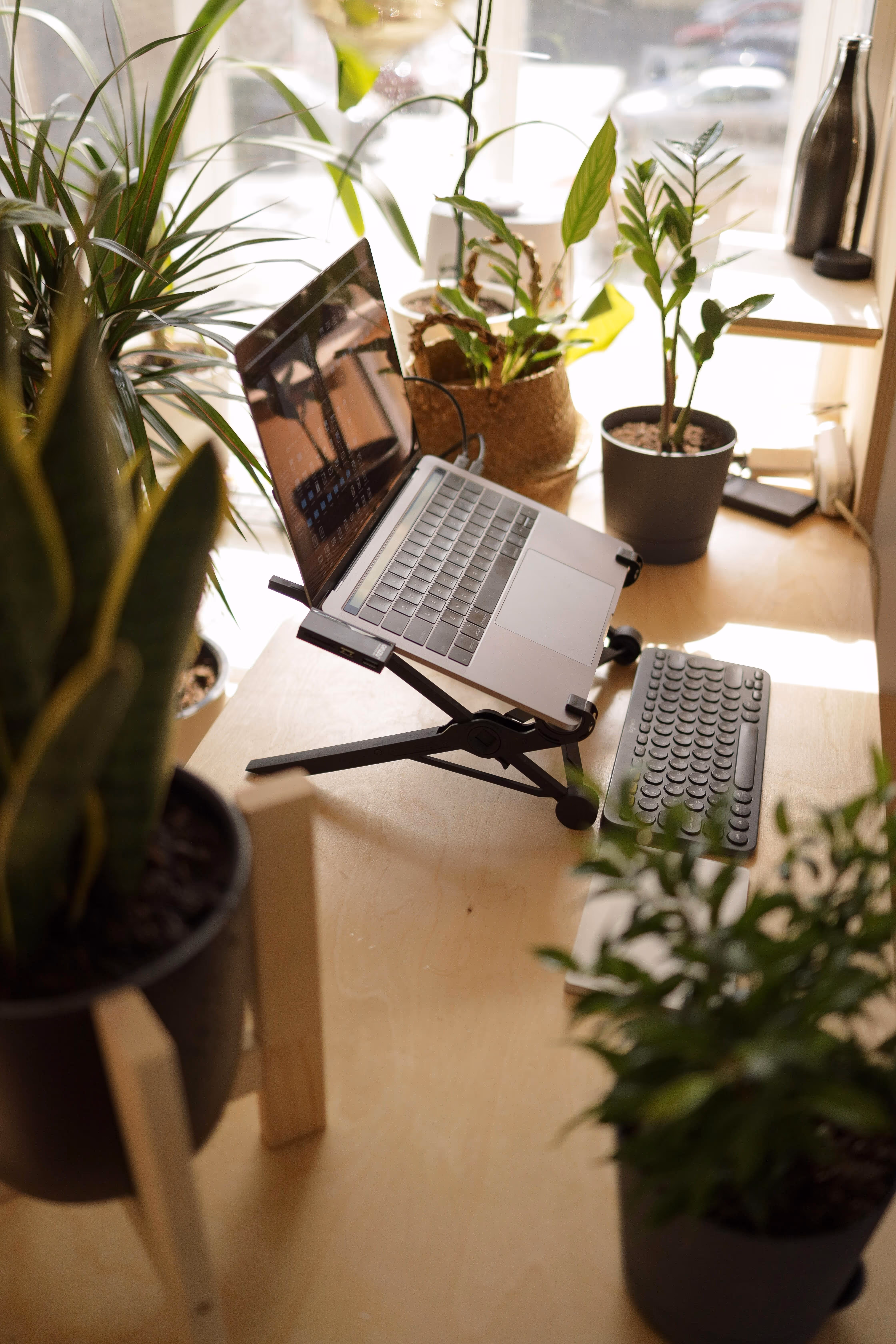 Laptop on a wooden desk with many plants