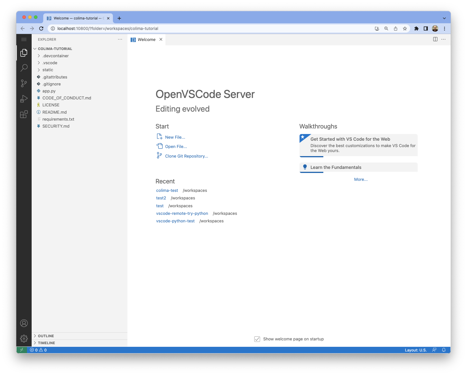 VS Code launches in the browser