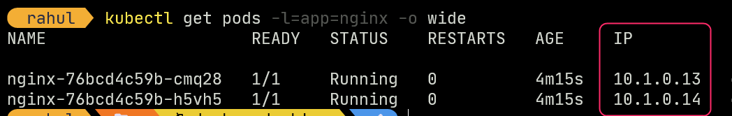 List of pods and IP addresses