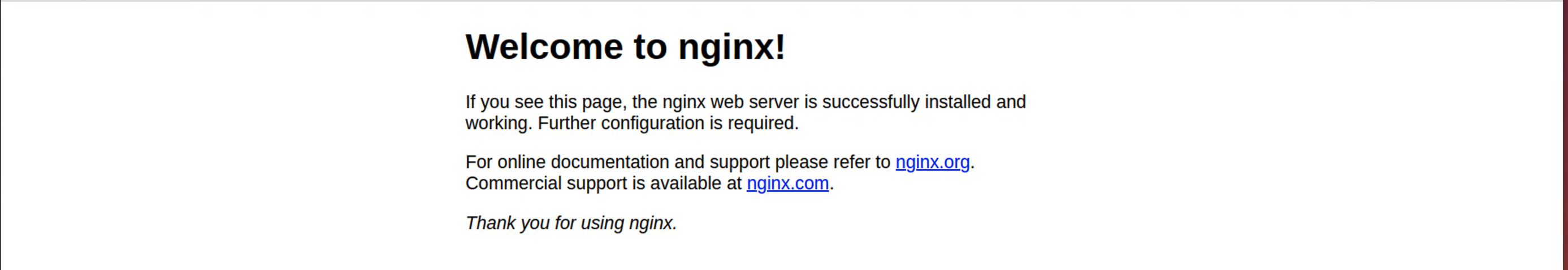 SaaS app Nginx screen - Image Credit: Author