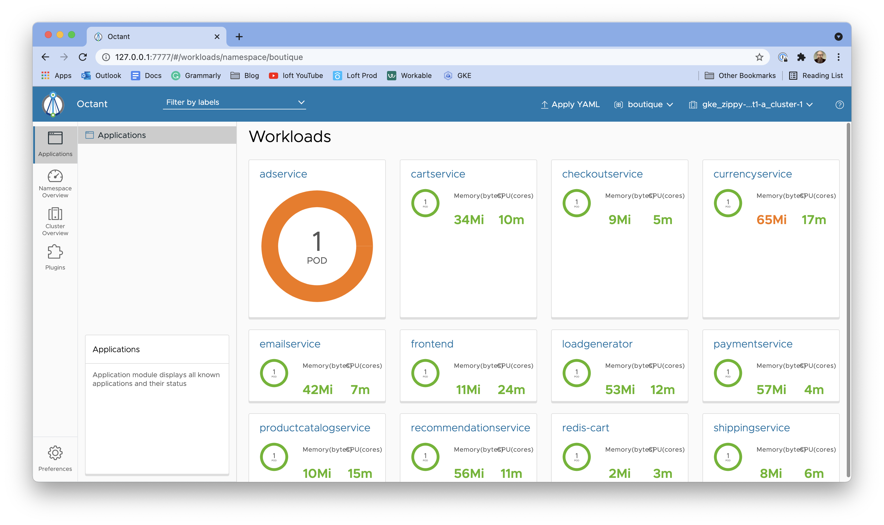 Octant's workloads view