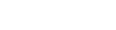 Fortune 500 Insurance Company