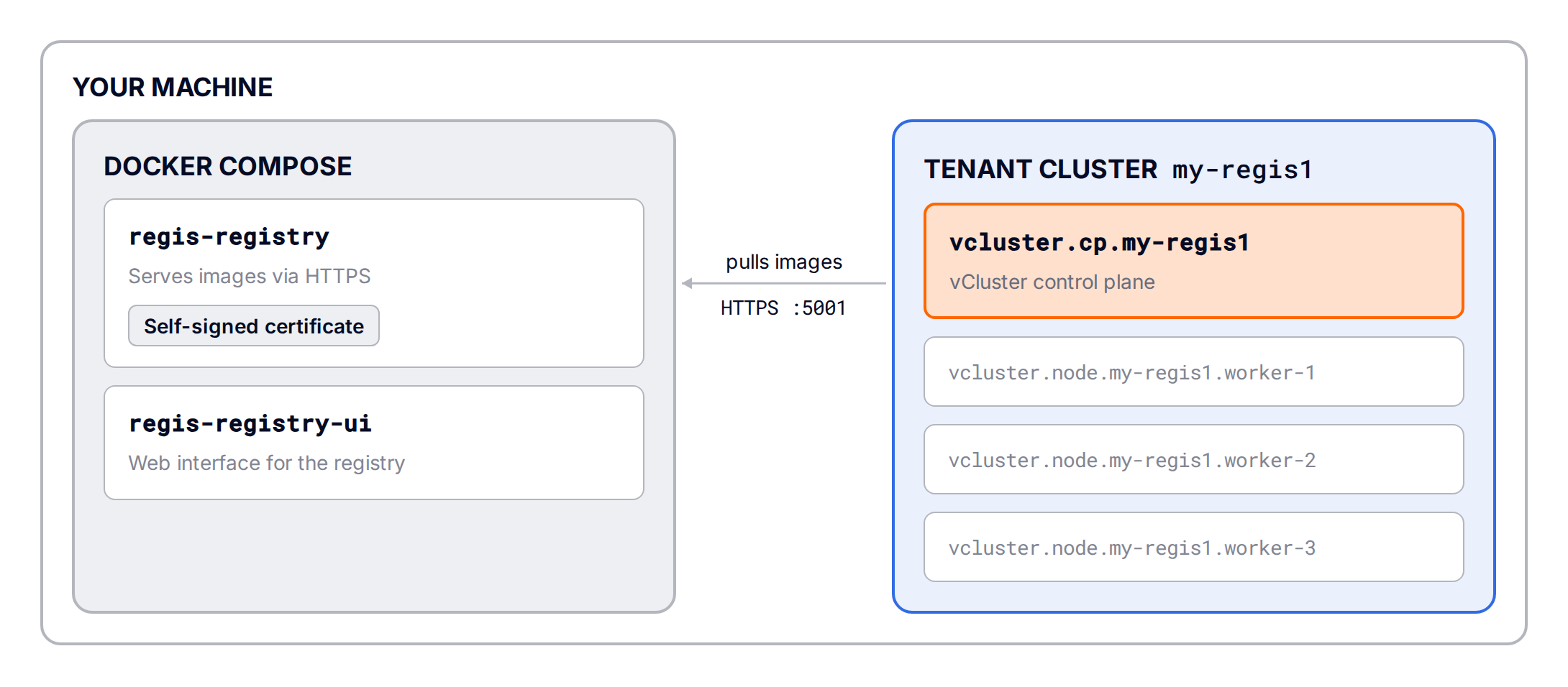 Local environment: Docker engine running the registry stack and a vind tenant cluster whose nodes pull from it over HTTPS