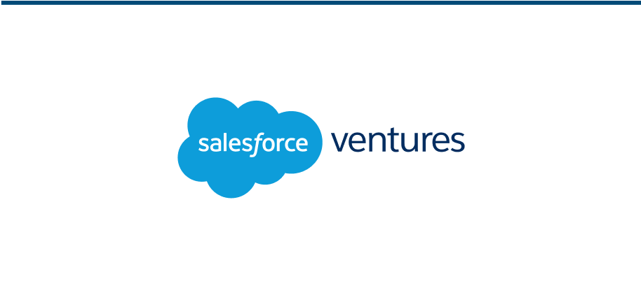 SalesForce Logo