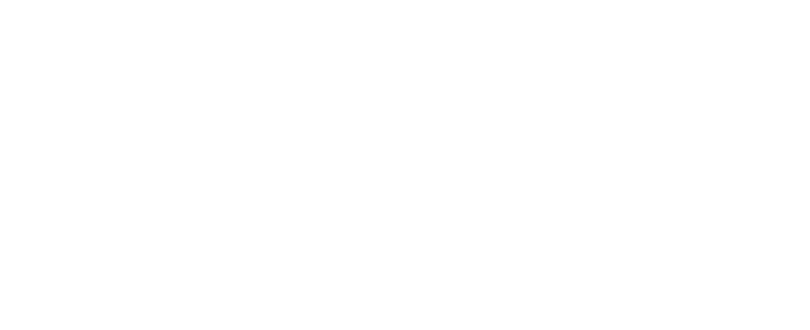 Texas Department of Information Resources (DIR) logo
