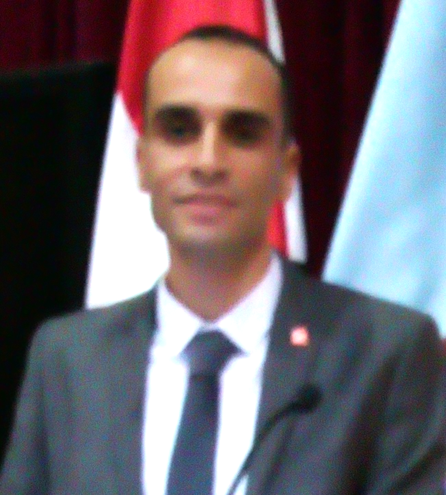 Mahmoud Ahmed Abdelazim Abdelhamid Eltayeb