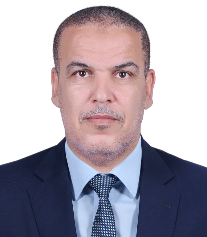 Osama Mohammed Moustafa Hosameldeen