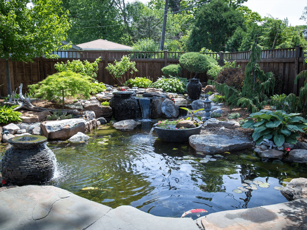 Pond with house in background