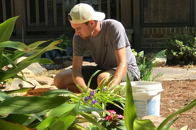 Man maintaining a koi pond