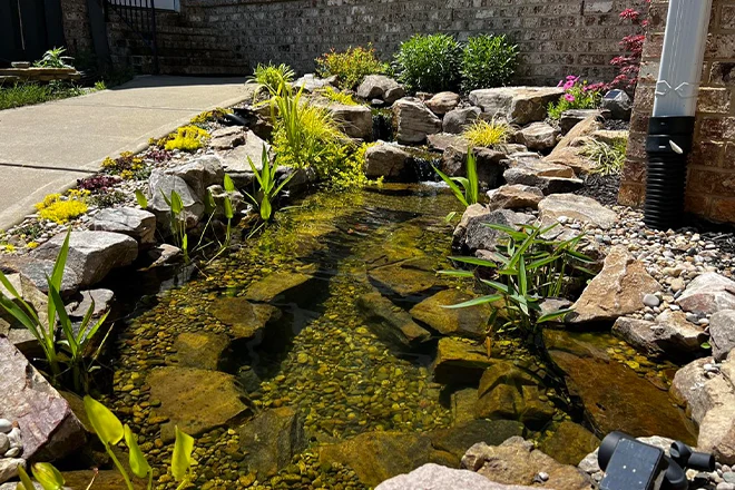 Pond with rocks and gravel in it for algae control