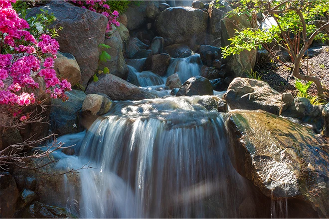 Waterfall with red flowers
