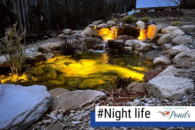 Warm underwater lights in a pond