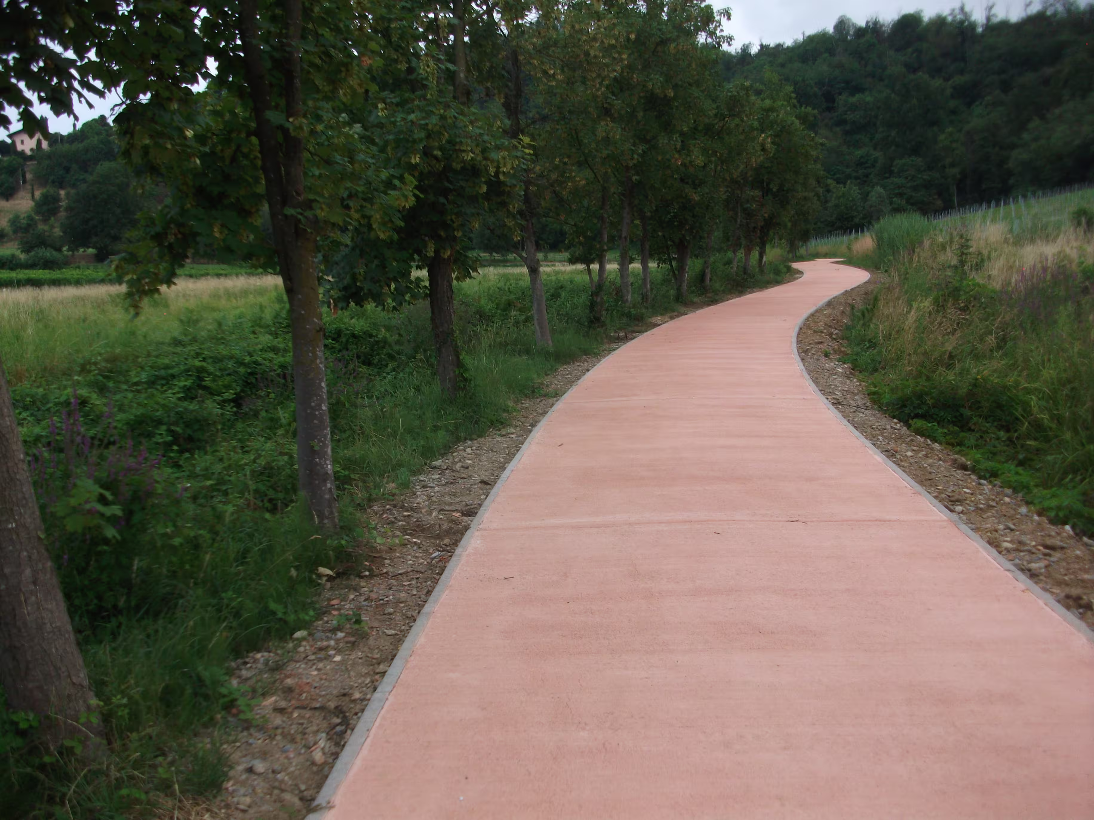 Displayed image from the thumbnail slider