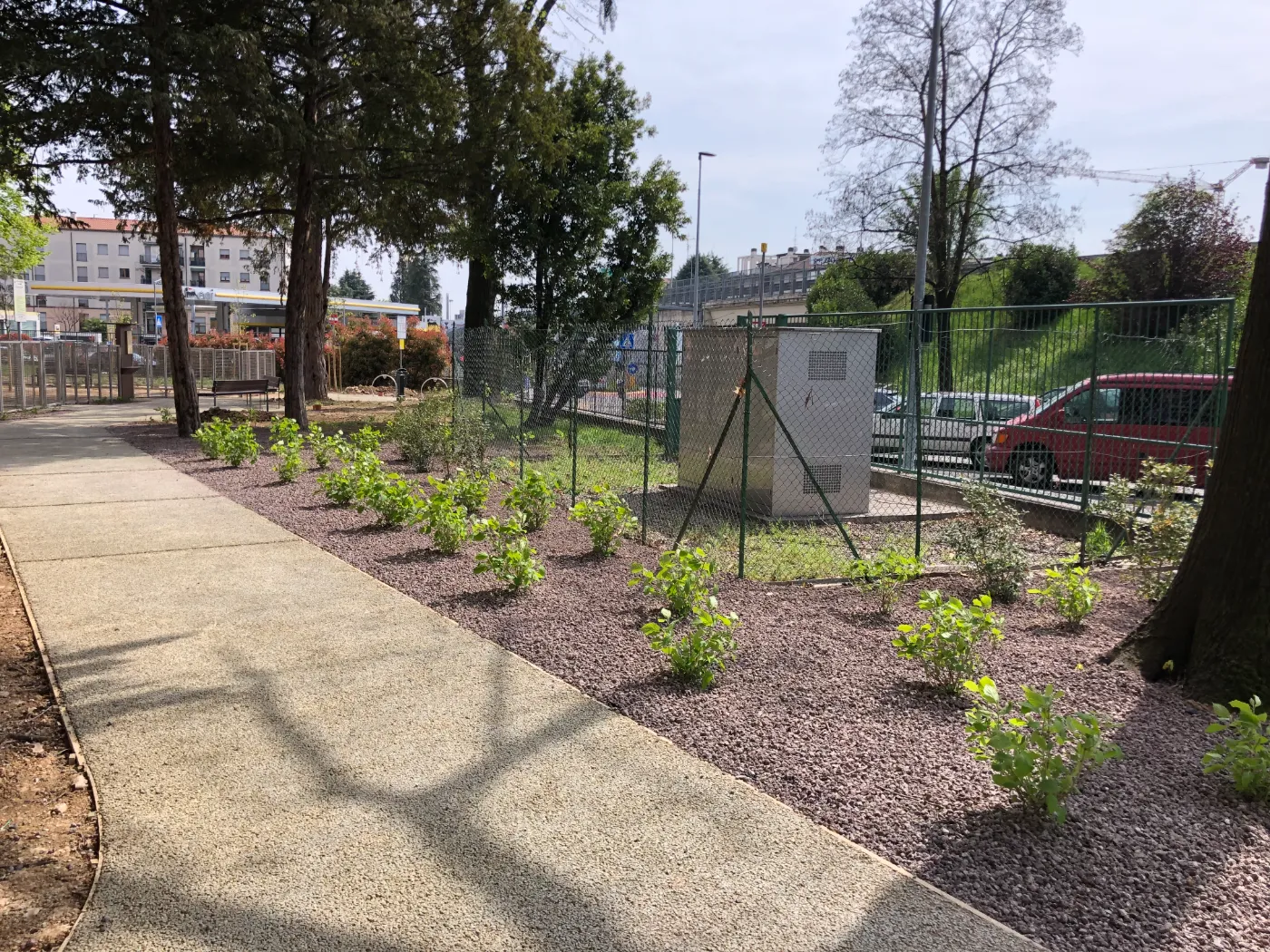 Displayed image from the thumbnail slider