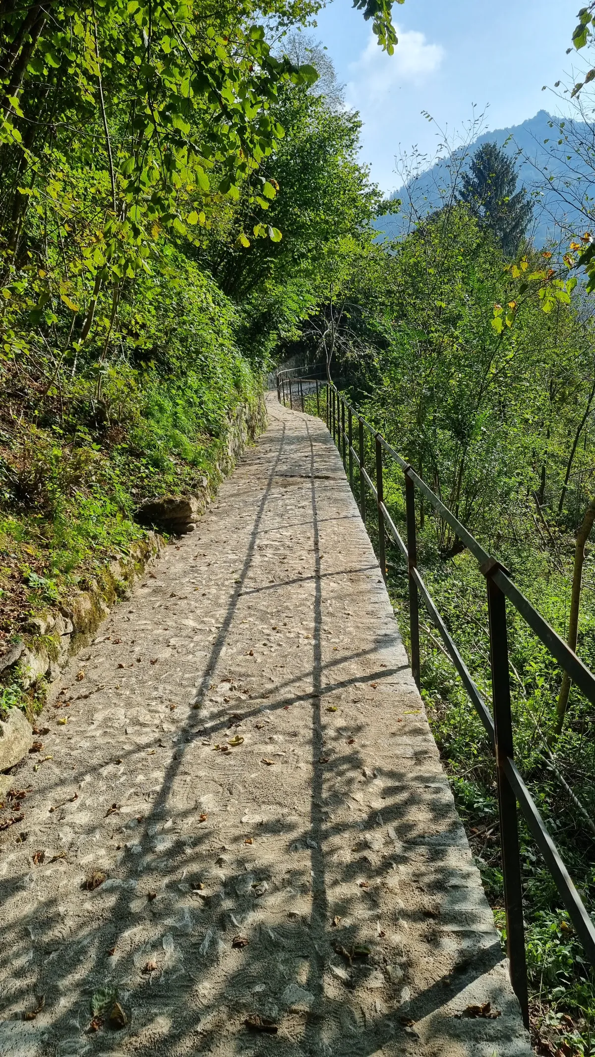 Displayed image from the thumbnail slider