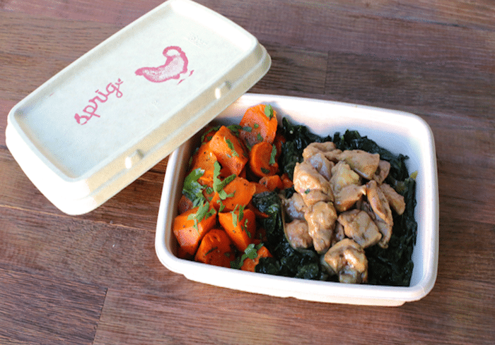 Failed startup sprig