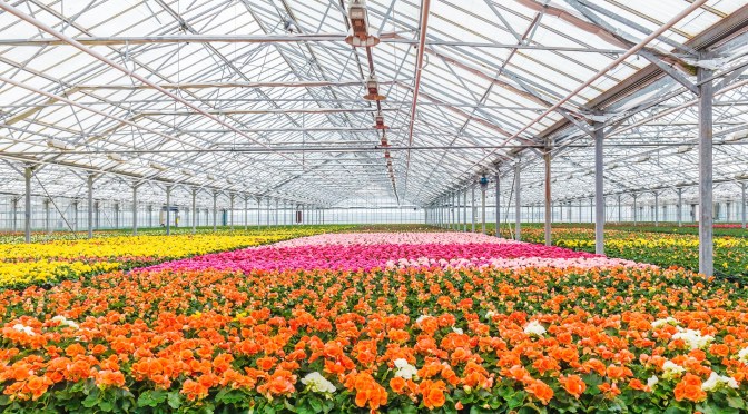 Hot tech companies: Artemis, previously known as Agrilyst