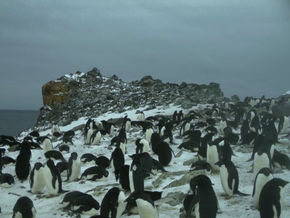 Crunchbase hack COVID-19 day counting