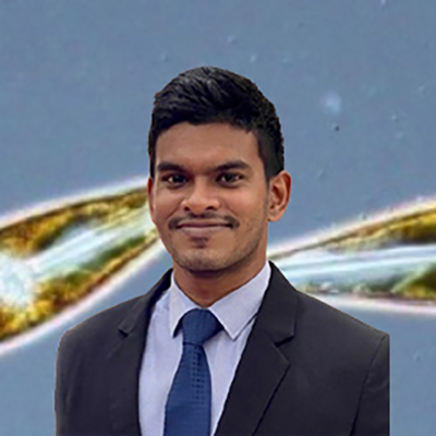 Thivin Abeywickrama
