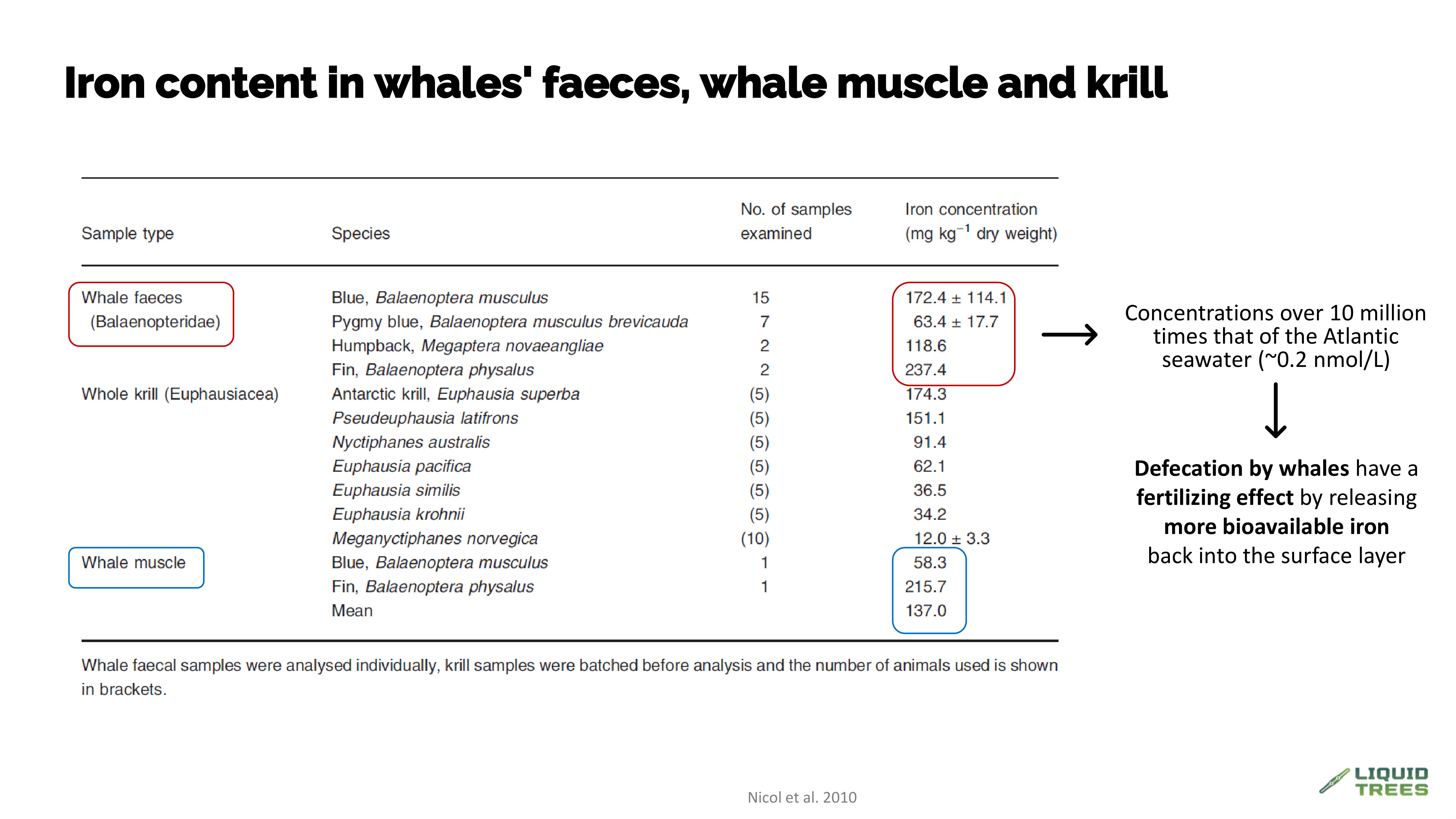 Whale feces as natural fertilizer