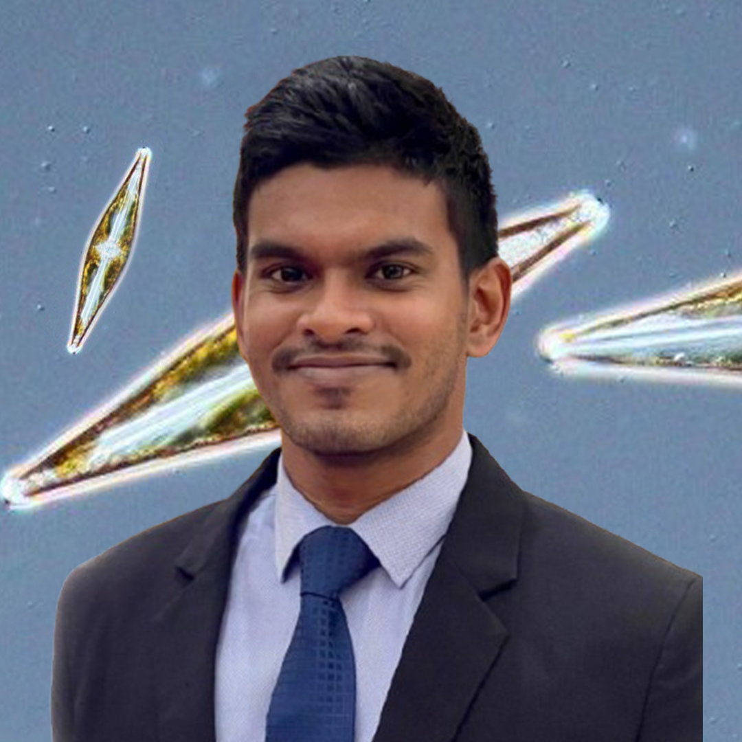 Thivin Abeywickrama
