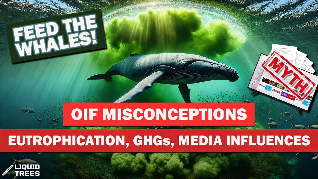 Ocean scene often associated with HABs headlines — click to explore common OIF misconceptions