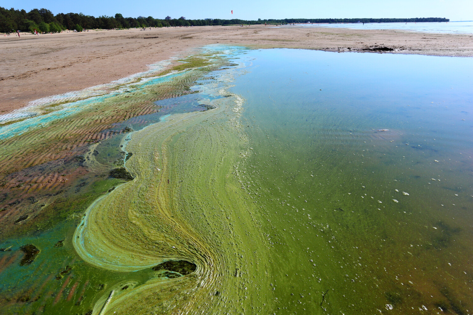 Coastal eutrophication by surface runoff bringing nutrients to the coast