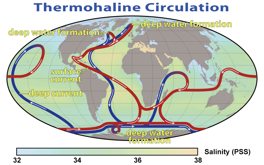 Global thermohaline circulation schematic