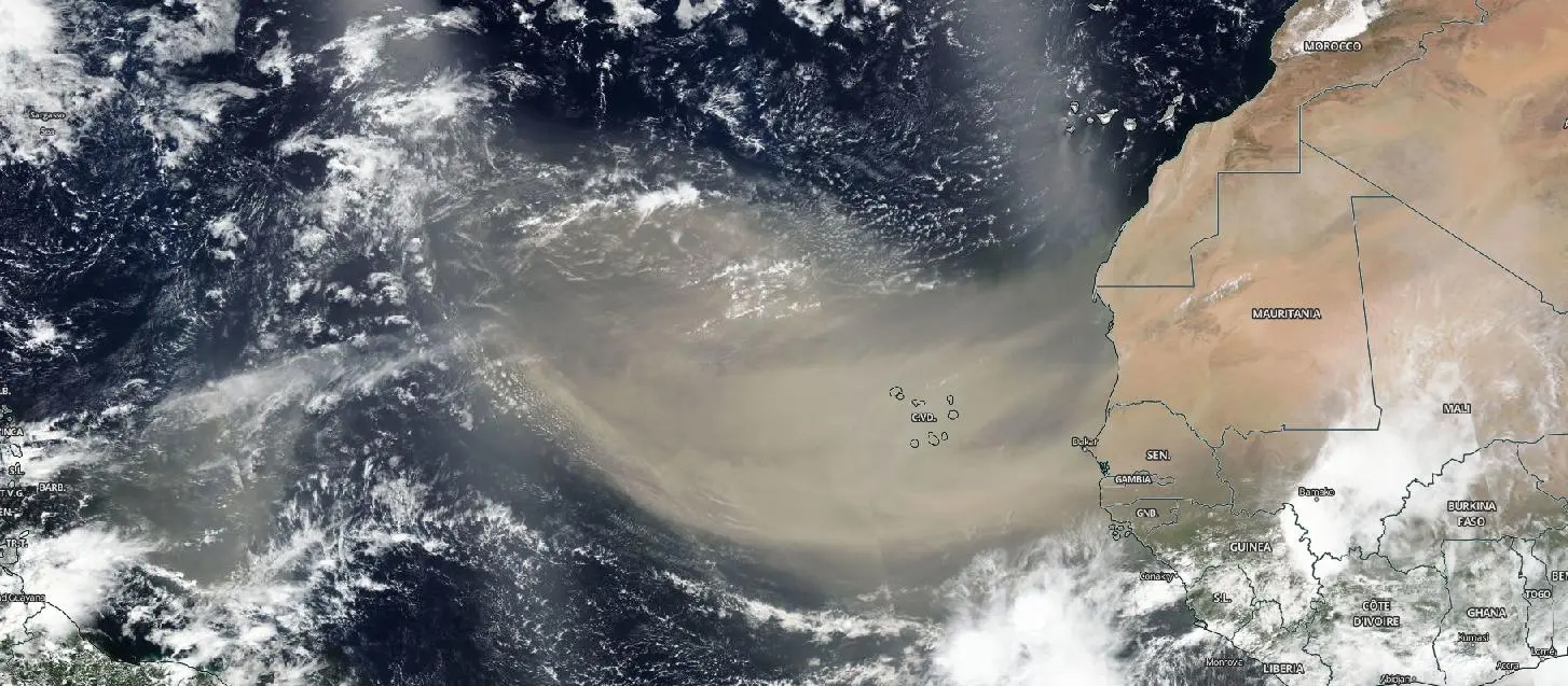 NASA satellite image of Saharan dust plume transporting iron-rich aerosols over the Atlantic Ocean