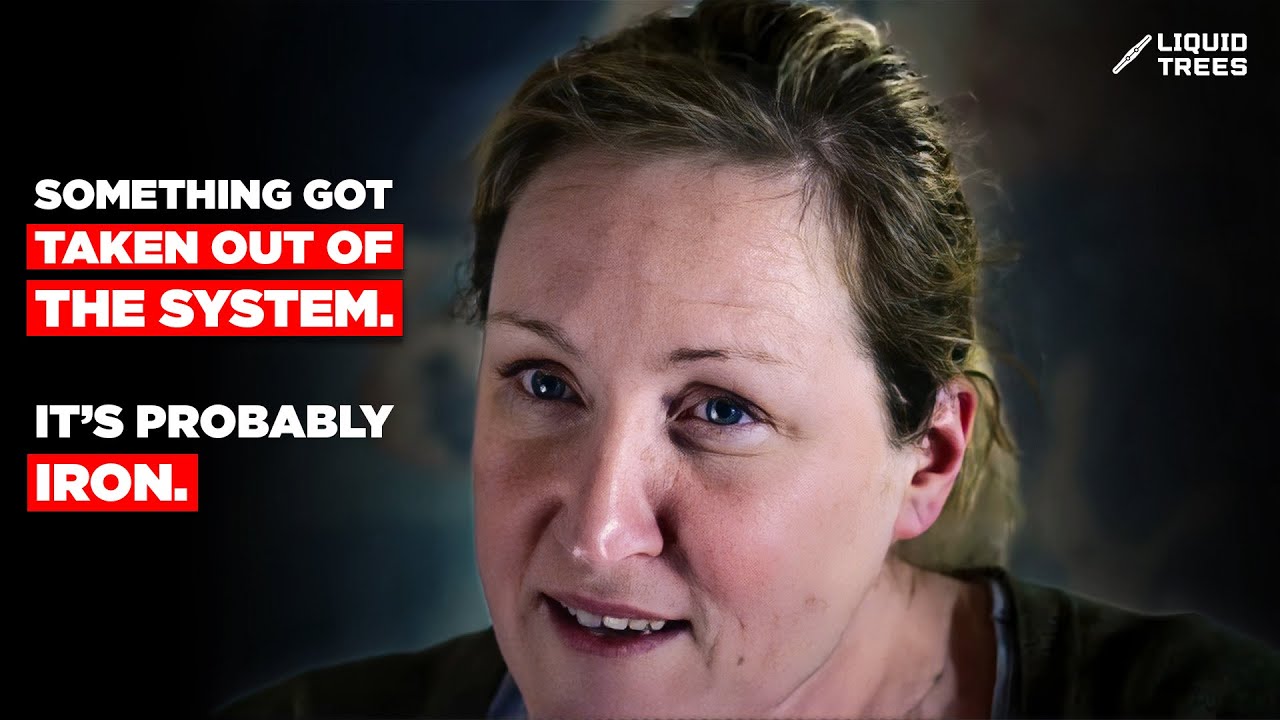 Diatom from an iron-enhanced bloom — representative image for Christine Klaas conversation panel